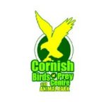 Cornish Birds of Prey